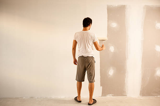 Reliable Williamsville, NY Dry wall and painting Solutions